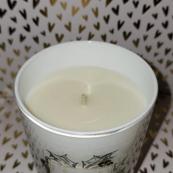 Brand New Scentsational Holly Berries Candle - Picture 4 of 6